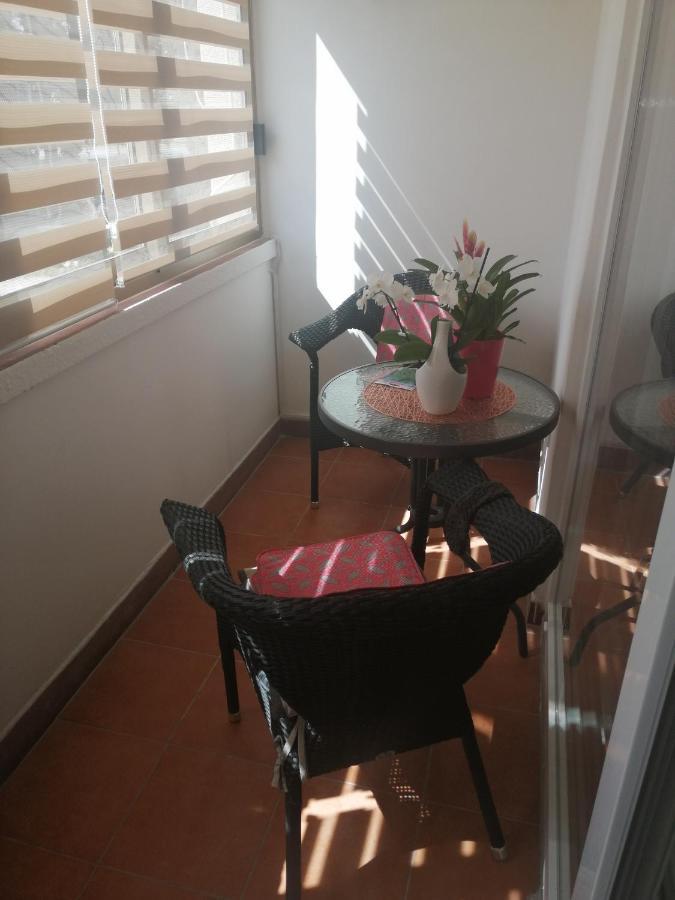 Apartments Mary & Free Parking Rovinj Bagian luar foto